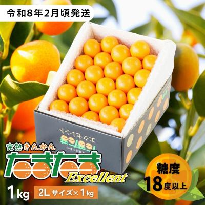 ふるさと納税 高千穂町 完熟きんかん たまたまエクセレント 1kg