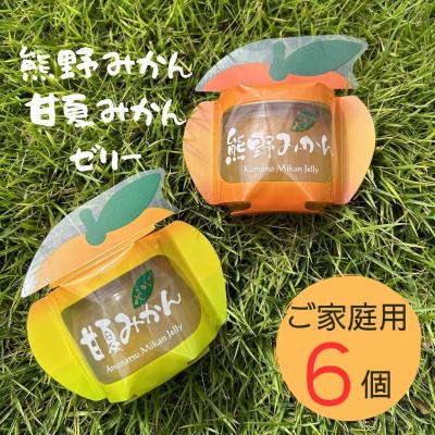 ふるさと納税 熊野市 [熊野みかん&amp;甘夏みかんゼリー6個☆]包装なし・ご家庭用