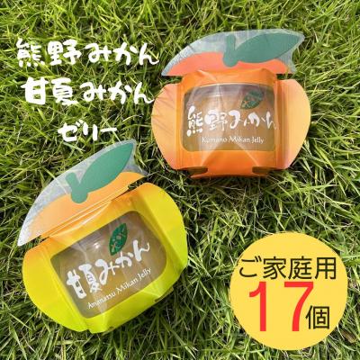 ふるさと納税 熊野市 [熊野みかん&amp;甘夏みかんゼリー17個☆]包装なし・ご家庭用