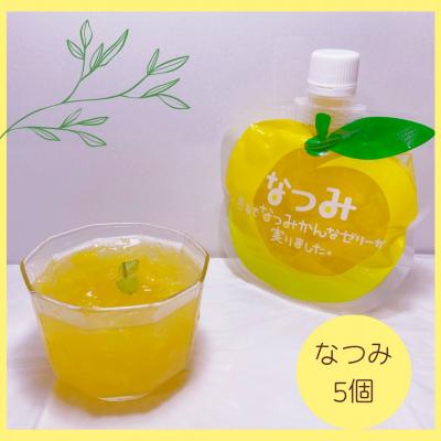 ふるさと納税 熊野市 みかんゼリー 「なつみ」 5個