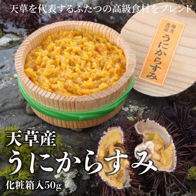 ふるさと納税 天草市 天草産うにからすみ　化粧箱入　50g_S002-008A | 
