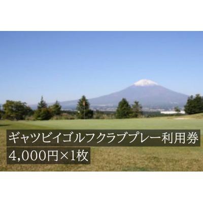 ふるさと納税 小山町 ギャツビイゴルフクラブプレー利用券 1枚[小山町内 ゴルフ場 共通利用券]C19