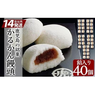 ふるさと納税 霧島市 銘菓かるかん饅頭(餡入り)(8個入り×5箱 計40個)[徳重製菓とらや]B-134