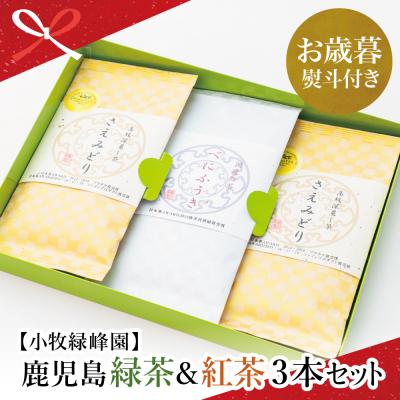 ふるさと納税 南さつま市 [お歳暮ギフト]日本茶AWARD受賞 鹿児島緑茶と紅茶のセット(計250g)