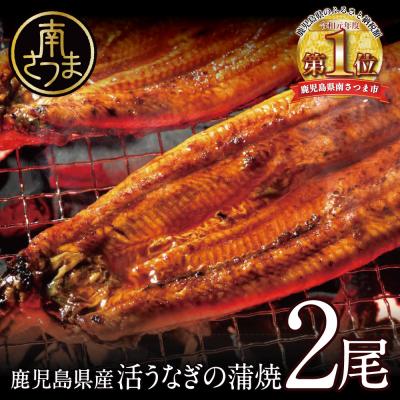 ふるさと納税 南さつま市 [鹿児島県産]活うなぎの蒲焼2尾 鰻 国産