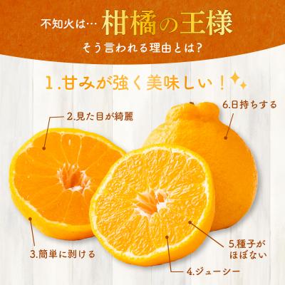 ふるさと納税 室戸市 不知火 訳あり 5kg詰め合わせ (デコポンと同品種) 柑橘系果物 果物 柑橘類 |  | 01