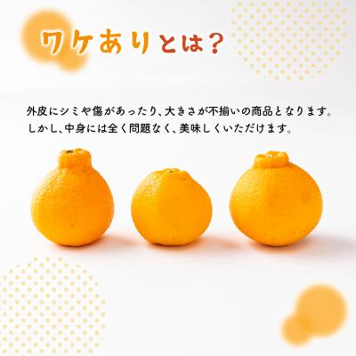 ふるさと納税 室戸市 不知火 訳あり 5kg詰め合わせ (デコポンと同品種) 柑橘系果物 果物 柑橘類 |  | 02