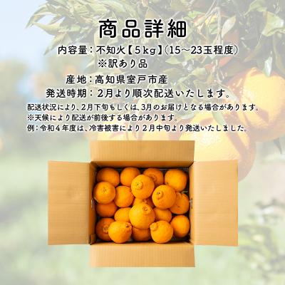 ふるさと納税 室戸市 不知火 訳あり 5kg詰め合わせ (デコポンと同品種) 柑橘系果物 果物 柑橘類 |  | 03