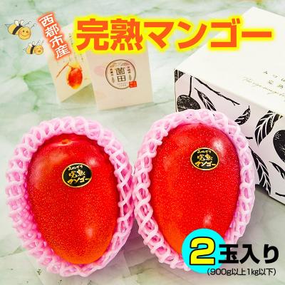 ふるさと納税 西都市 [先行受付]薗田農園 西都市産 完熟マンゴー 2玉入り[2961]