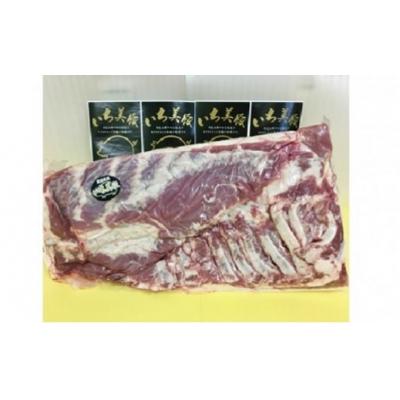 ふるさと納税 境町 いち美豚 豚バラブロック1枚(約3.8kg以上)