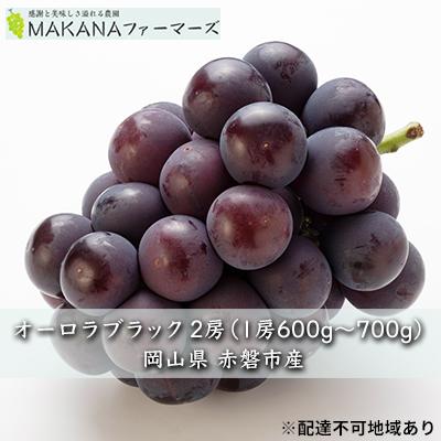 ふるさと納税 赤磐市 ぶどう オーロラブラック 2房(1房600g〜700g) 葡萄 2026年[NO5765-0524]