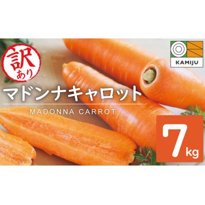 ふるさと納税 碧南市 (TVで紹介)訳あり!こどもも食べられる甘み!「マドンナキャロット」 7kg H105-236 | 