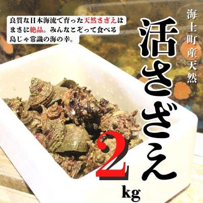 ふるさと納税 海士町 島獲れ 活さざえ 2kg 刺身