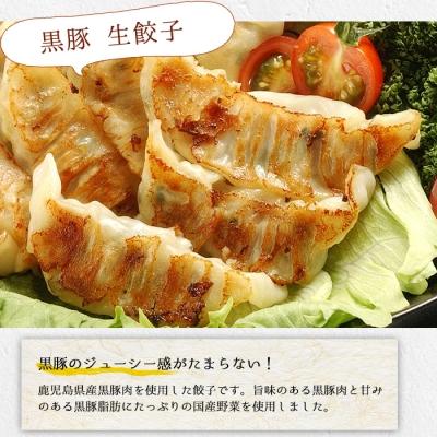 ふるさと納税 いちき串木野市 鹿児島黒豚生餃子 合計144個(12個×12P)タレ付き!国産野菜使用 |  | 01