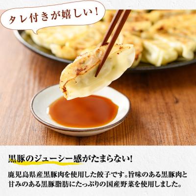 ふるさと納税 いちき串木野市 鹿児島黒豚生餃子 合計144個(12個×12P)タレ付き!国産野菜使用 |  | 02