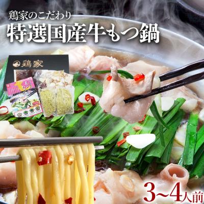 ふるさと納税 古賀市 [匠家]「鶏家」の特選もつ鍋セット(3〜4人前)