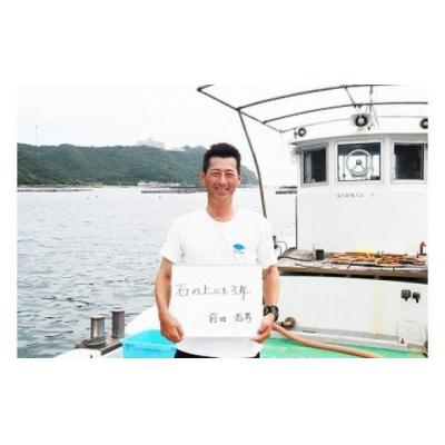 ふるさと納税 南あわじ市 【若男水産】てっさ【3年とらふぐのフグ刺し/冷凍】(約5〜6人前)_3
