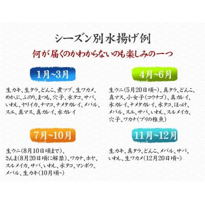 ふるさと納税 陸前高田市 【特選】三陸海の恵み詰め合わせ【下処理済】(2〜3人用) 魚 鮮魚 海鮮 貝 天然 刺身 旬 三陸産 |  | 02