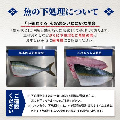 ふるさと納税 陸前高田市 【特選】三陸海の恵み詰め合わせ【下処理済】(2〜3人用) 魚 鮮魚 海鮮 貝 天然 刺身 旬 三陸産 |  | 03