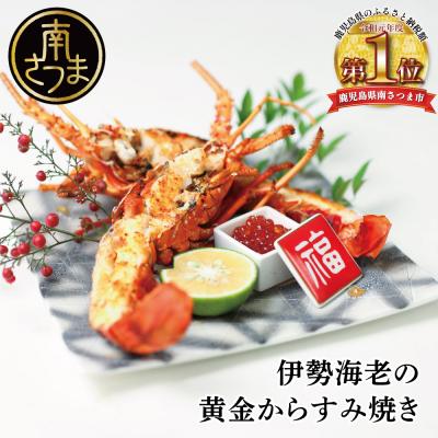 ふるさと納税 南さつま市 伊勢海老の黄金からすみ焼き