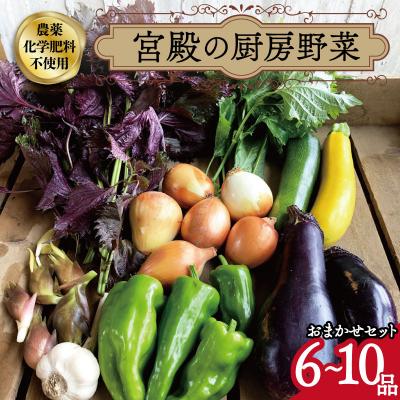 ふるさと納税 明和町 宮殿の厨房 野菜 おまかせ セット 六月農園 N5
