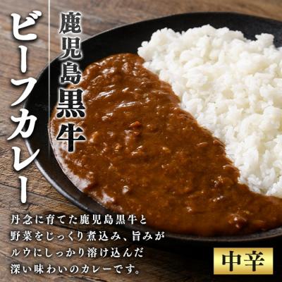 ふるさと納税 肝付町 鹿児島黒牛 レトルト ビーフカレー (160g×10P)　A91018 |  | 01