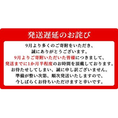 ふるさと納税 肝付町 鹿児島黒牛 レトルト ビーフカレー (160g×10P)　A91018 |  | 01