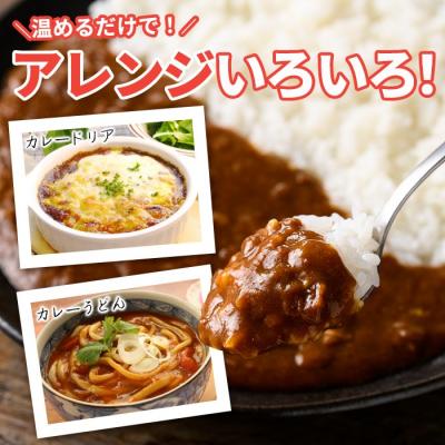 ふるさと納税 肝付町 鹿児島黒牛 レトルト ビーフカレー (160g×10P)　A91018 |  | 02