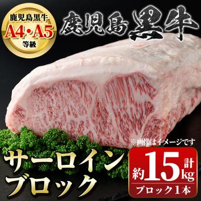 ふるさと納税 肝付町 <4等級・5等級>鹿児島黒牛サーロイン かたまりブロック