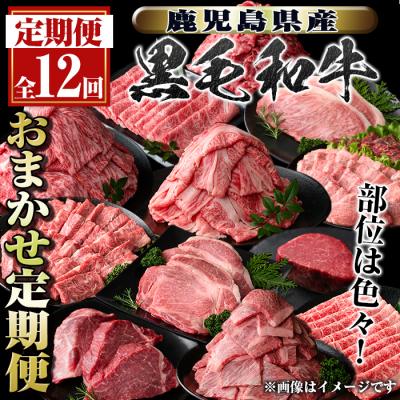 ふるさと納税 肝付町 <定期便・全12回>鹿児島県産黒毛和牛おまかせ定期便