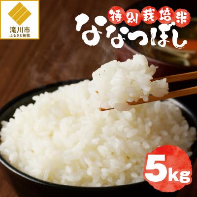 ふるさと納税 滝川市 [令和7年産]特別栽培米ななつぼし 5kg 特A 減農薬 白米 ブランド米 北海道滝川市