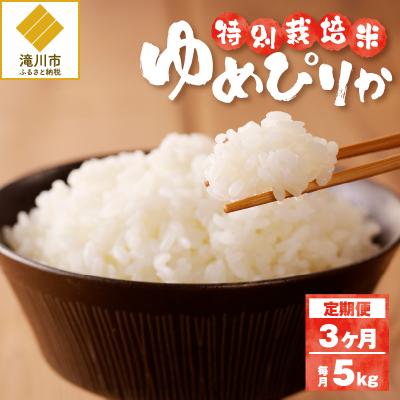 ふるさと納税 滝川市 [令和7年産]特別栽培米ゆめぴりか 5kg×3ヵ月定期便 特A 減農薬 白米 北海道滝川市
