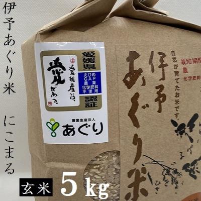 ふるさと納税 松前町 ★令和7年産発送★ 伊予あぐり米「にこまる」(玄米5kg)