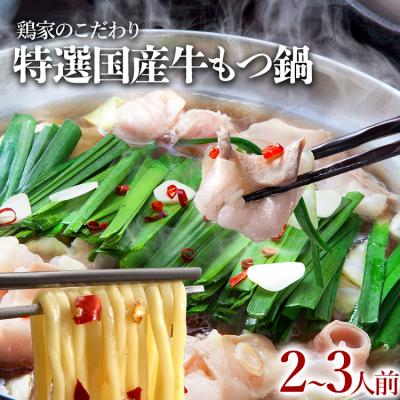 ふるさと納税 古賀市 鶏家特選もつ鍋セット2〜3人前(ふるさと納税限定セット)