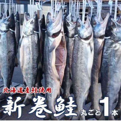 ふるさと納税 普代村 北海道産鮭使用 寒風干し 新巻鮭 1本 数量限定 海鮮 魚介 魚介類 海の幸 海産物