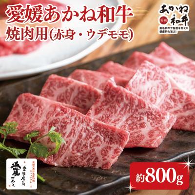 ふるさと納税 松前町 愛媛あかね和牛 焼肉用赤身ウデモモ(約800g)[SZS001_x]