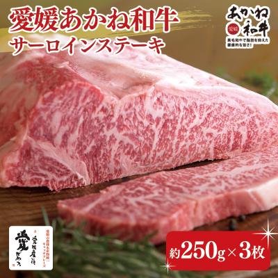 ふるさと納税 松前町 愛媛あかね和牛 サーロインステーキ[SZS004_x]