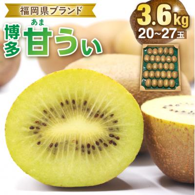 ふるさと納税 宗像市 福岡県ブランド!キウイフルーツ「博多甘うぃ」1箱約3.6kg【ほたるの里】_AS0434-00 | 