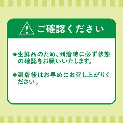 ふるさと納税 宗像市 福岡県ブランド!キウイフルーツ「博多甘うぃ」1箱約3.6kg【ほたるの里】_AS0434-00 |  | 03