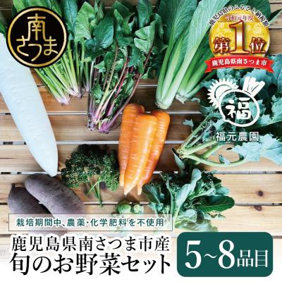 ふるさと納税 南さつま市 [鹿児島県南さつま市産]福元農園 旬のお野菜 おまかせセット 1箱(5〜8品目)野菜 詰め合わせ