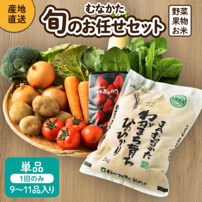 ふるさと納税 宗像市 [9〜11品]むなかた旬のお任せセット(野菜・フルーツ・お米)[JAほたるの里]