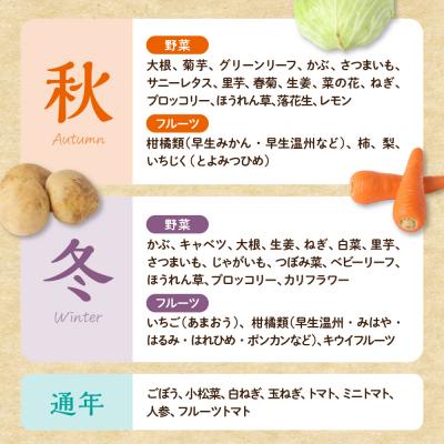 ふるさと納税 宗像市 【9〜11品】むなかた旬のお任せセット(野菜