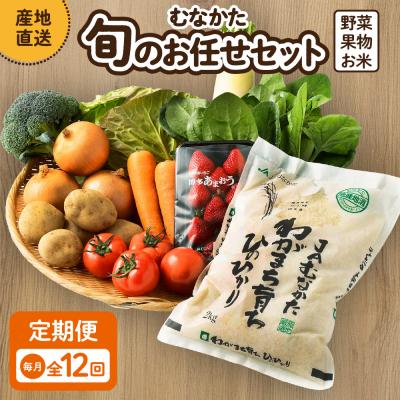 ふるさと納税 宗像市 [定期便/年12回/毎月お届け]むなかた旬のお任せセット[ほたるの里]