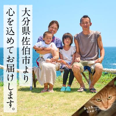 ふるさと納税 佐伯市 深島の猫へ寄付と深島猫グッズ (Aプラン・計4種) |  | 03