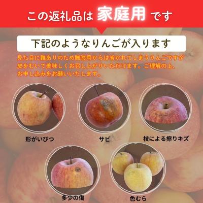 ふるさと納税 福島市  りんご「サンふじ」家庭用 約3kg【2027年1月より発送】No.2064 |  | 01