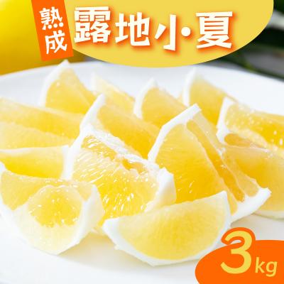 ふるさと納税 室戸市 熟成 露地小夏 3kg