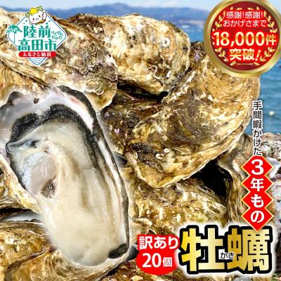 ふるさと納税 陸前高田市 [訳あり] 殻付き生牡蠣 20個 規格外 牡蠣 かき カキ 冷蔵 生食