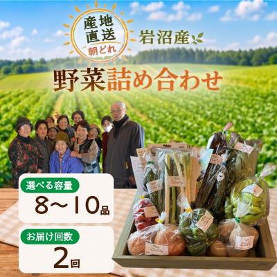 ふるさと納税 岩沼市 [定期便2ヶ月]宮城県 岩沼産 産地直送 朝どれ 新鮮野菜 8〜10種類 詰め合わせセット