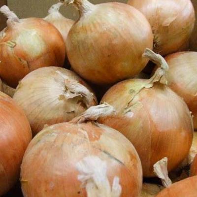 ふるさと納税 南あわじ市 淡路島産玉ねぎ 10kgの画像