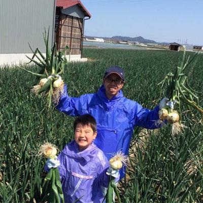 ふるさと納税 南あわじ市 淡路島産玉ねぎ 10kgの画像